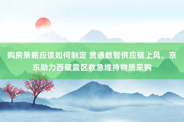 购房策略应该如何制定 贯通数智供应链上风，京东助力西藏震区救急维持物质采购