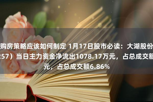 购房策略应该如何制定 1月17日股市必读：大湖股份（600257）当日主力资金净流出1078.17万元，占总成交额6.86%