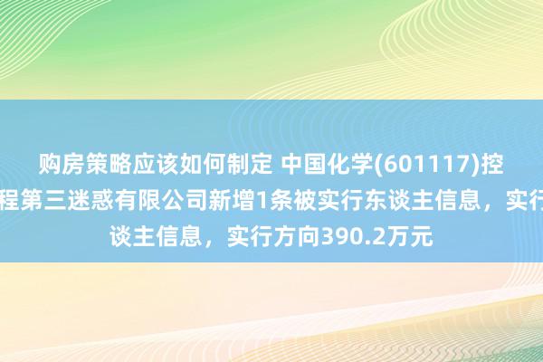 购房策略应该如何制定 中国化学(601117)控股的中国化学工程第三迷惑有限公司新增1条被实行东谈主信息，实行方向390.2万元