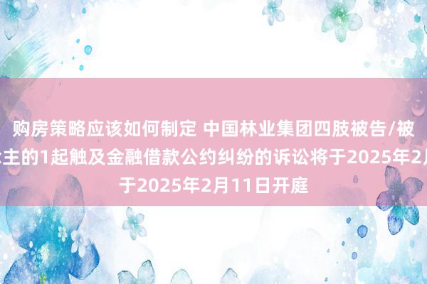 购房策略应该如何制定 中国林业集团四肢被告/被上诉东说念主的1起触及金融借款公约纠纷的诉讼将于2025年2月11日开庭