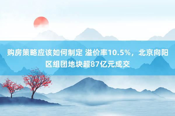 购房策略应该如何制定 溢价率10.5%，北京向阳区组团地块超87亿元成交