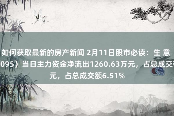 如何获取最新的房产新闻 2月11日股市必读：生 意 宝（002095）当日主力资金净流出1260.63万元，占总成交额6.51%