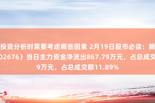 投资分析时需要考虑哪些因素 2月19日股市必读：顺威股份（002676）当日主力资金净流出867.79万元，占总成交额11.89%