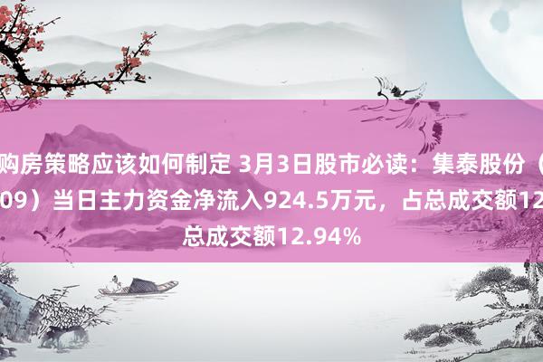 购房策略应该如何制定 3月3日股市必读：集泰股份（002909）当日主力资金净流入924.5万元，占总成交额12.94%